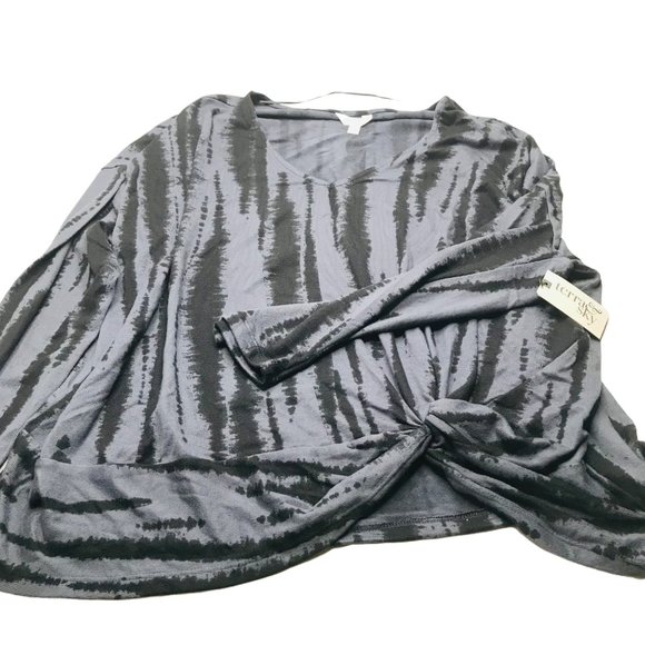 Terra And Sky Women's Size 2X 20W-22W V-Neck Twist Side Brushed Long Sleeve Top - Picture 1 of 15